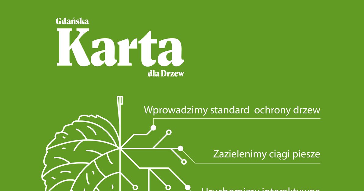 GKdD finalny projekt Obszar roboczy