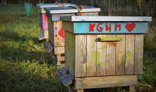 KGHM expands its apiaries - three new beehives set up at the Głogów Copper Smelter