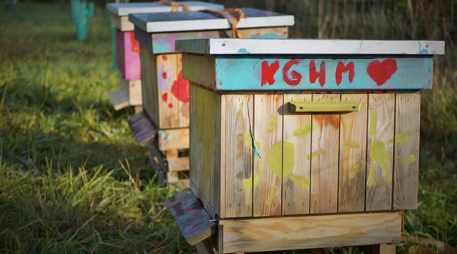 KGHM expands its apiaries - three new beehives set up at the Głogów Copper Smelter