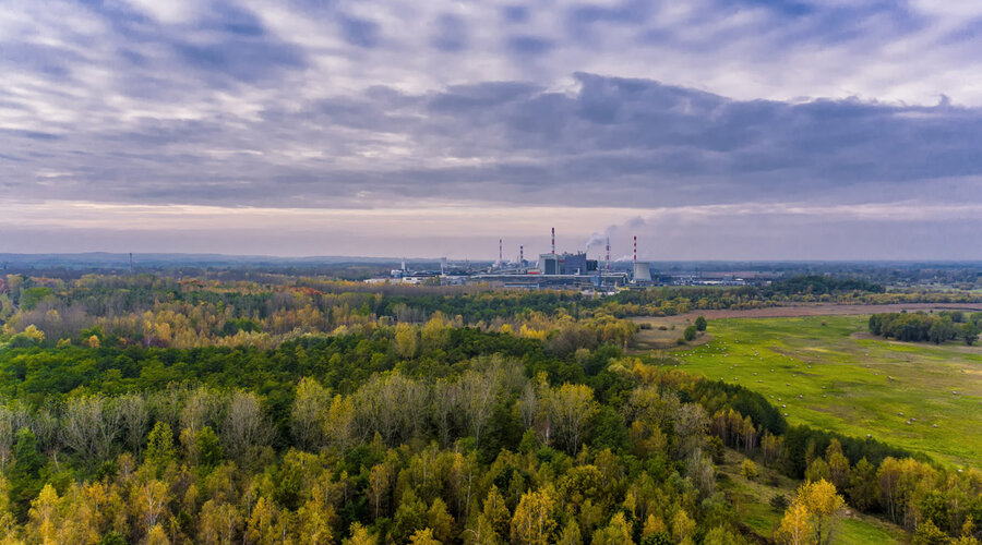 Announcement of the release of the ‘Draft Forest Management Plan’ to the public