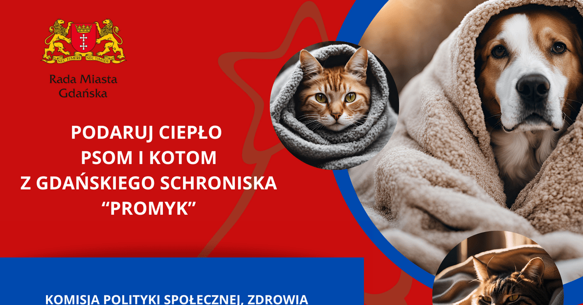 PODARUJ CIEPŁO PSOM I KOTOM Z GDAŃSKIEGO SCHRONISKA PROMYK