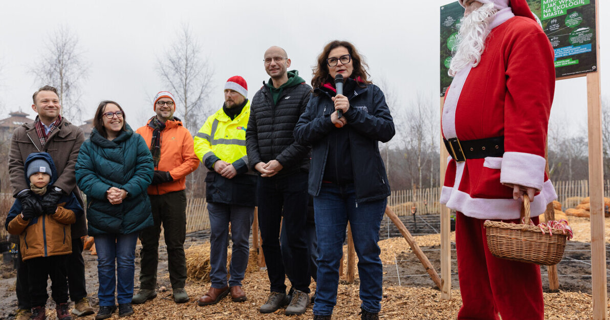 Mikrolas po raz piąty, fot  D Paszlinski, www gdansk pl (2)