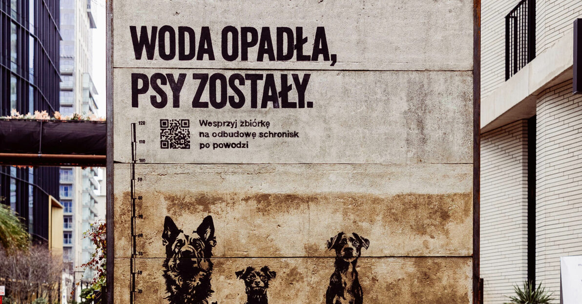 Woda-opadla-psy-zostaly-