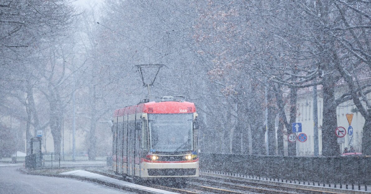 Komunikacja zimą, fot. Piotr Wittman/gdansk.pl 