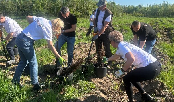 Wolontariusze KGHM dla środowiska – tysiące nowych sadzonek przy Hucie Miedzi Głogów