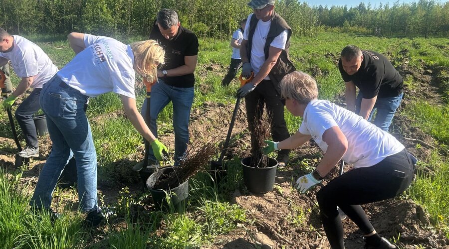 KGHM volunteers for the environment - thousands of new seedlings at the Głogów Copper Smelter