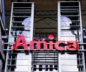 Grupa Amica