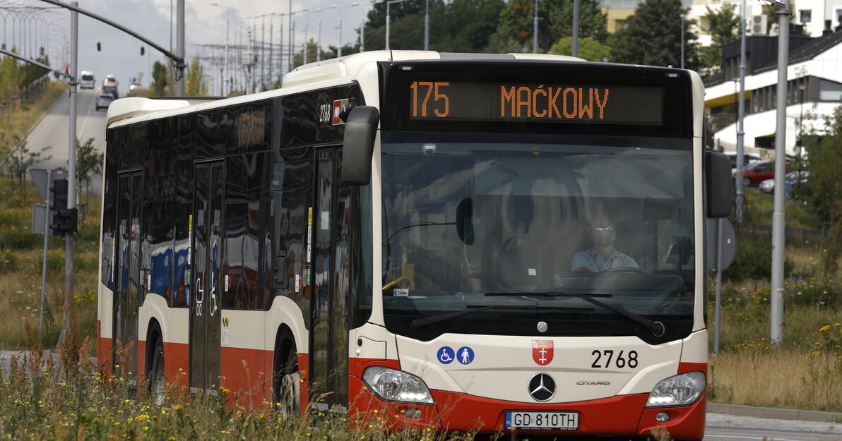 Autobus linii 175, fot. Grzegorz Mehring/gdansk.pl 