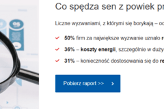 „Przetwórstwo tworzyw sztucznych w Polsce 2025. Zamrożone faktury, gorące wyzwania”. | Raport