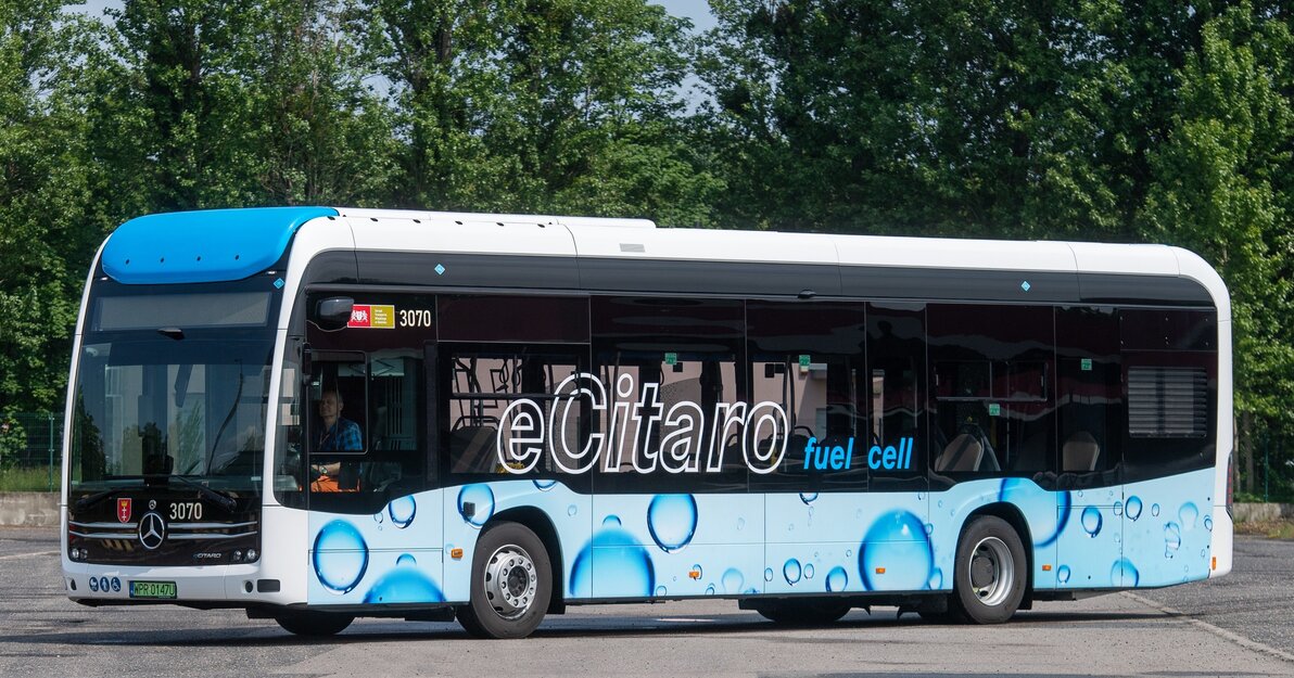 Autobus
