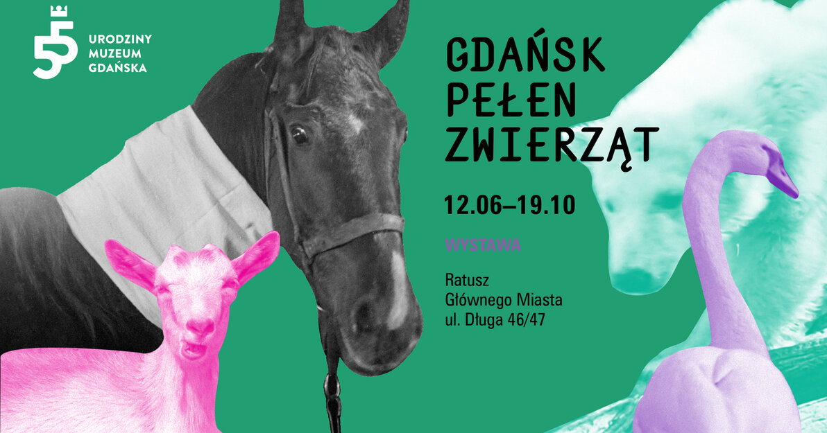 1920x1080 px GDANSK PELEN ZWIERZAT
