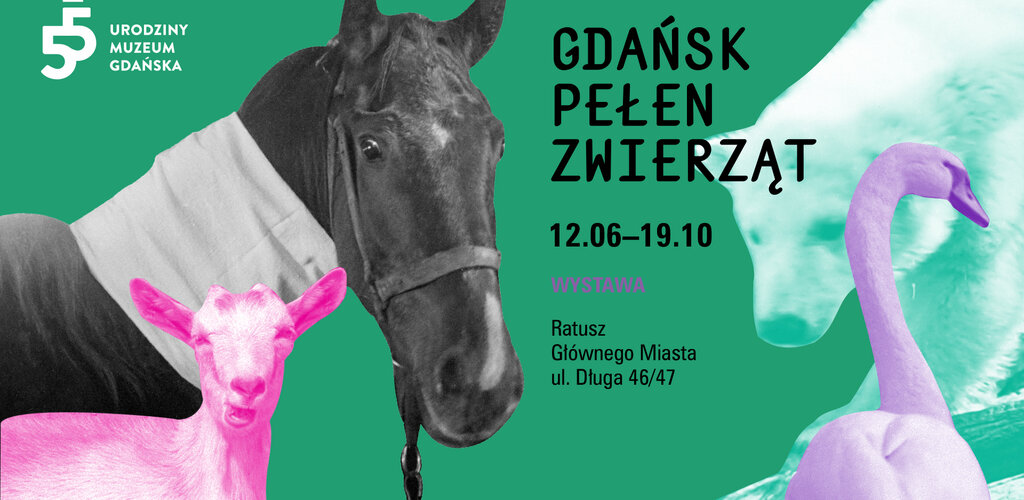 1920x1080 px GDANSK PELEN ZWIERZAT