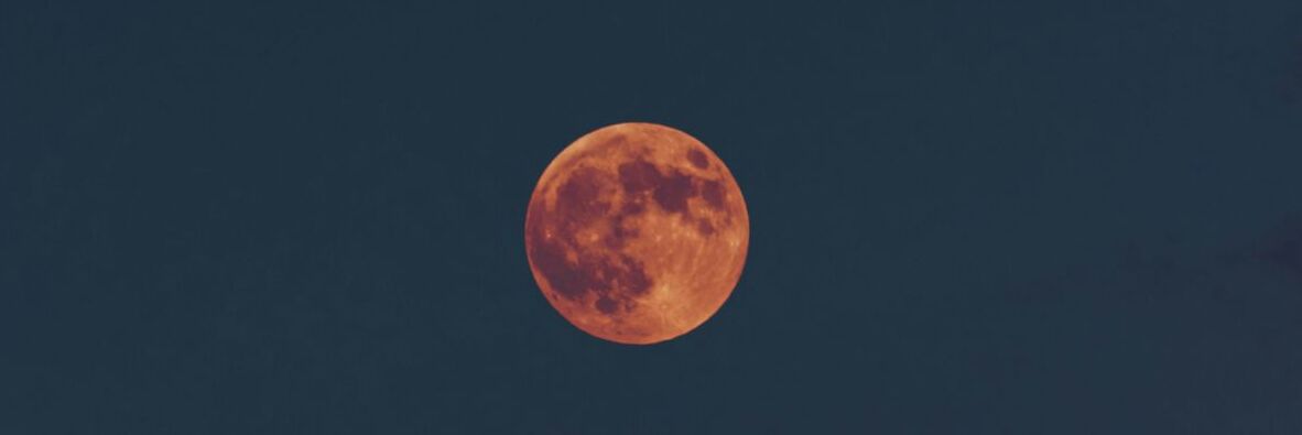 AdobeStock 1357081802