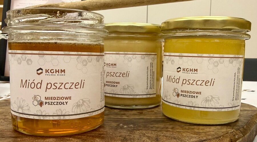 „Miedziowe Pszczoły” w akcji – II Miodobranie w KGHM za nami