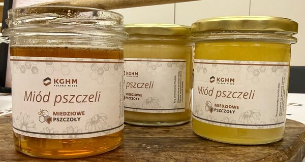 «Abejas Cupríferas» en acción: ya ha tenido lugar la 2ª Extracción de Miel en KGHM
