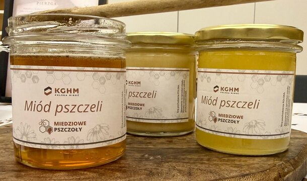 «Abejas Cupríferas» en acción: ya ha tenido lugar la 2ª Extracción de Miel en KGHM