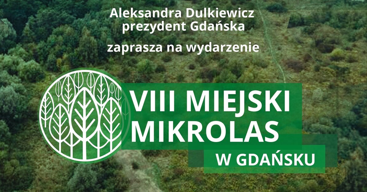 mikrolas zajawka