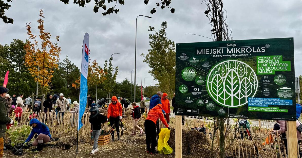 ósmy mikrolas w Gdańsku, mat. prasowy
