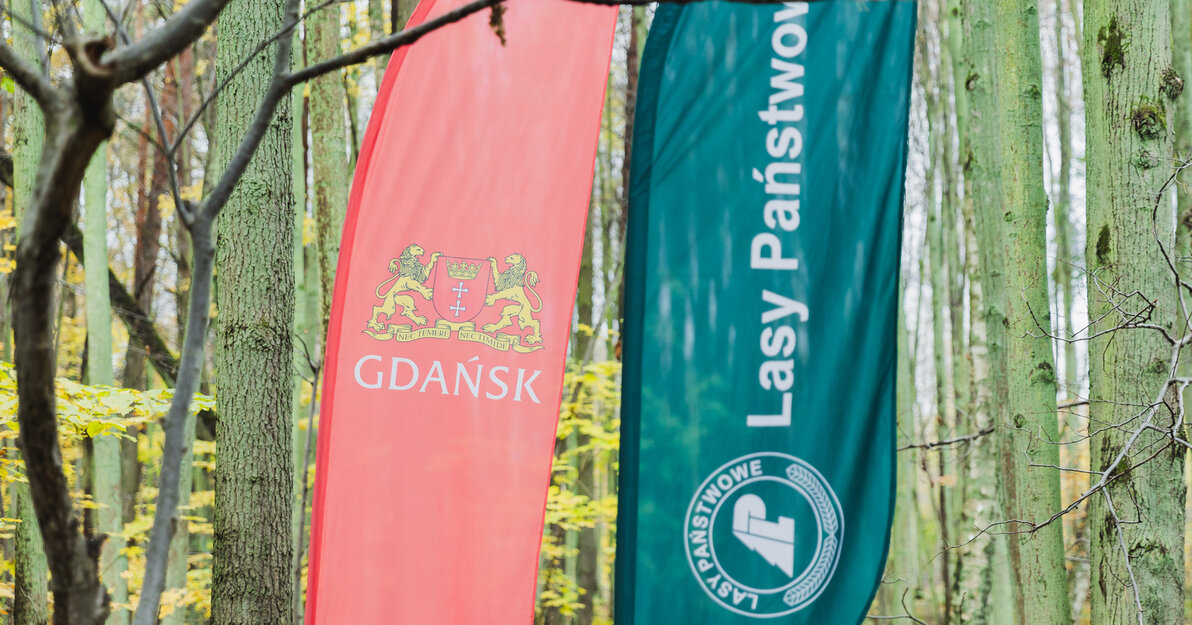 Sadzenie drzew na Matarni Fot Dominik Paszliński gdansk.pl 