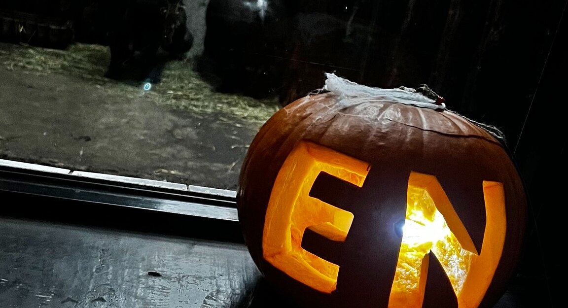 szlakiem zagrożonych gatunków zoo gdańsk