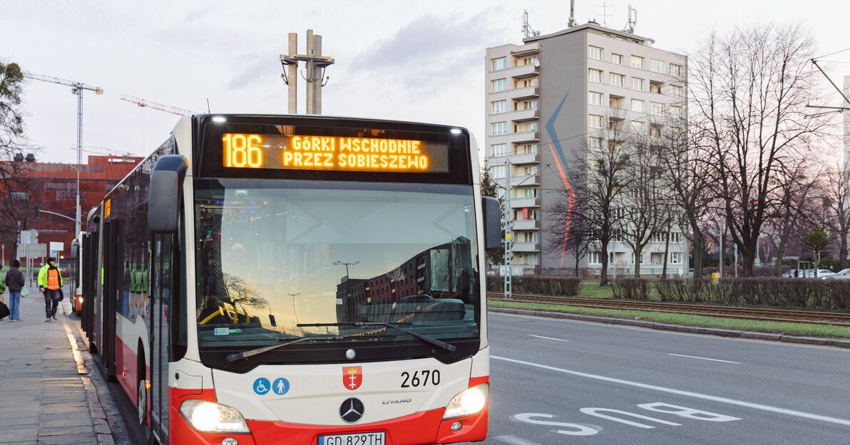 linia autobusowa 186, fot. Dominik Paszliński/ gdansk.pl 