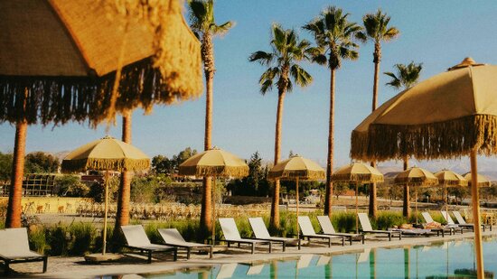 Untitled design (14)