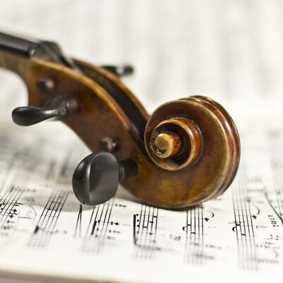 shutterstock 218943355