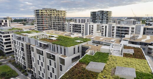 zielony dach 800x450