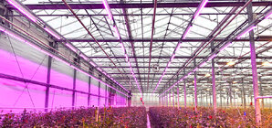 5c0e55433f956-IMG-2421