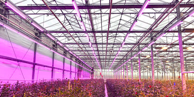 5c0e55433f956-IMG-2421