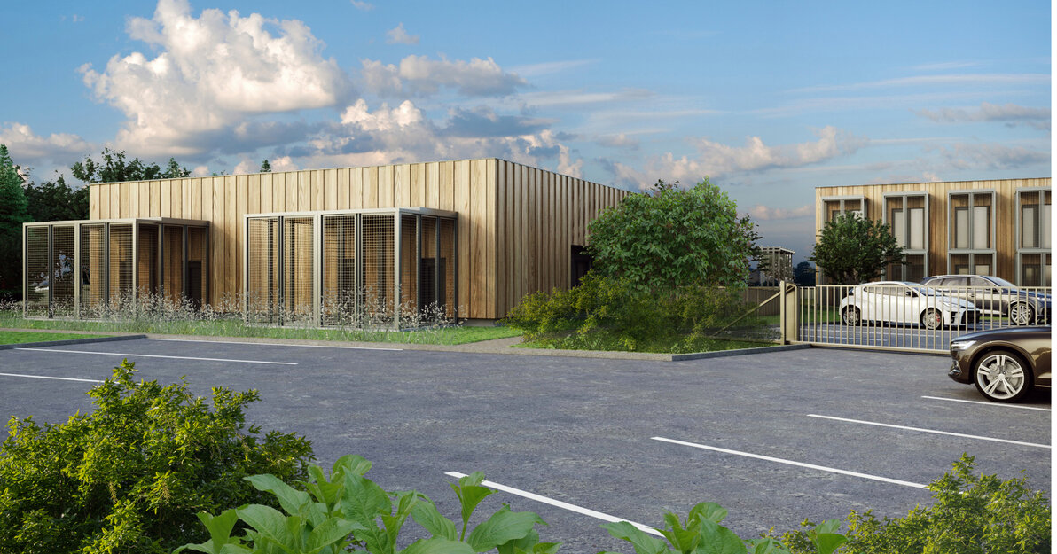 Nowy kompleks dla kotów w schronisku Promyk (1)