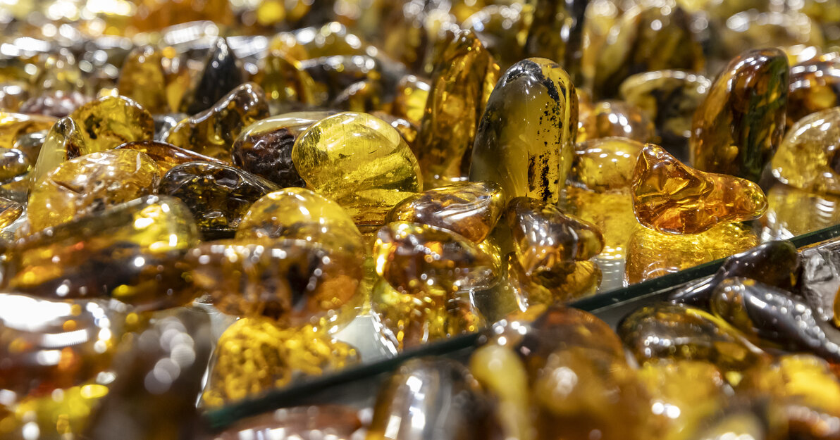 Bursztyn  Targi Amberif