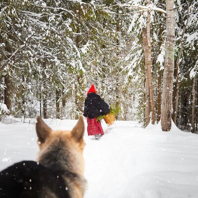 shutterstock 2393853815