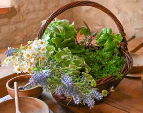 168179373196550 1365483258937602