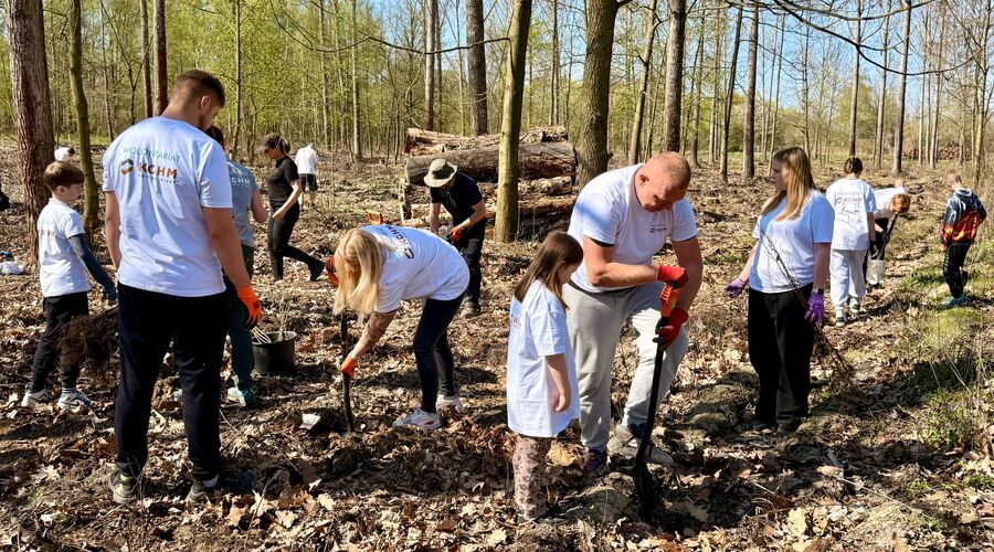 World Earth Day: KGHM volunteers planted thousands more trees at the Głogów Copper Smelter