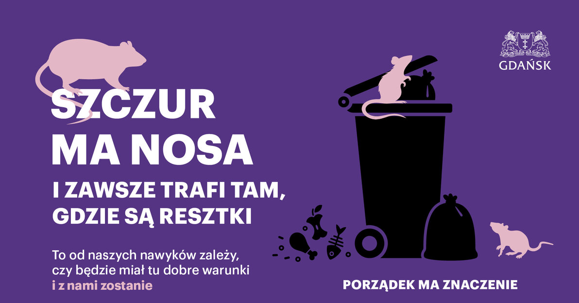 szczury 1920x1080