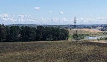 Zdjęcie ilustracyjne przedstawiające linię wysokiego napięcia 110 kV biegnącą przez pola i lasy