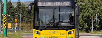 Nesobus foto (1)