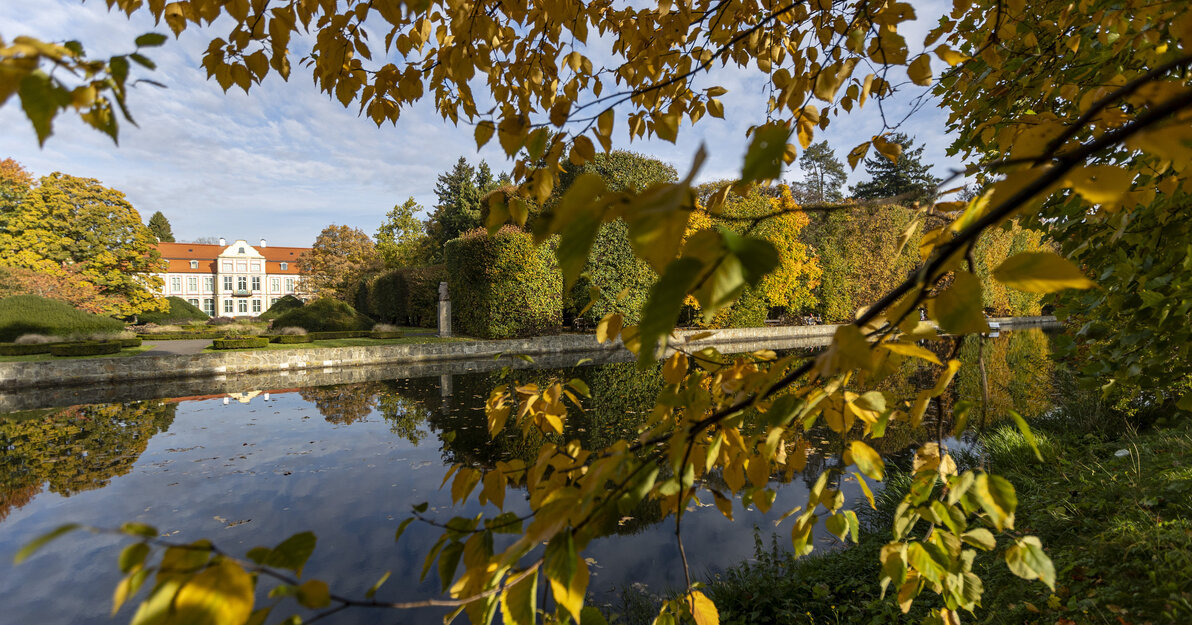 Park Oliwski Fot Piotr Wittman gdansk pl