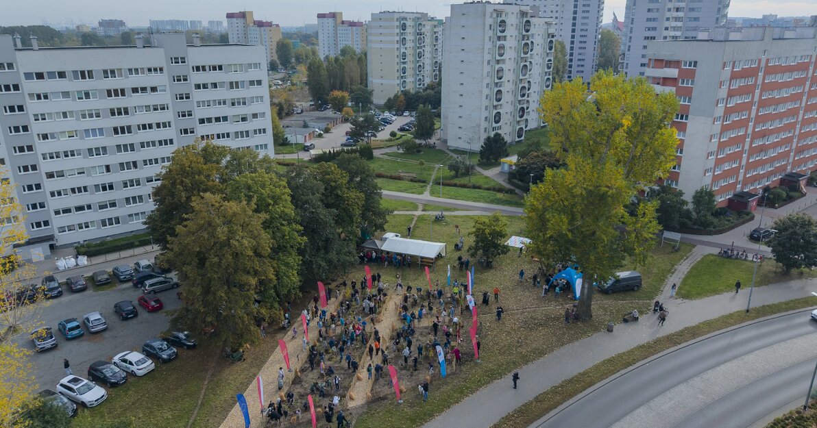 gcm-download-max-2026-10-17-mikrolas-przymorze-006 1c09f742