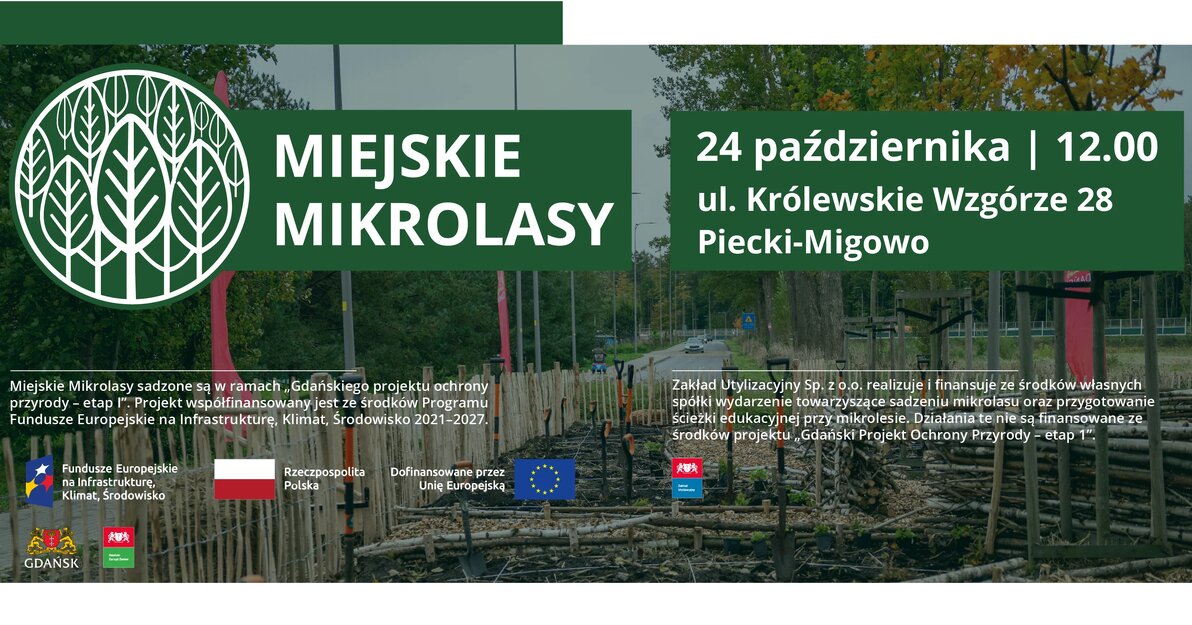 06-10-2026-mikrolasy-królewskiewzg
