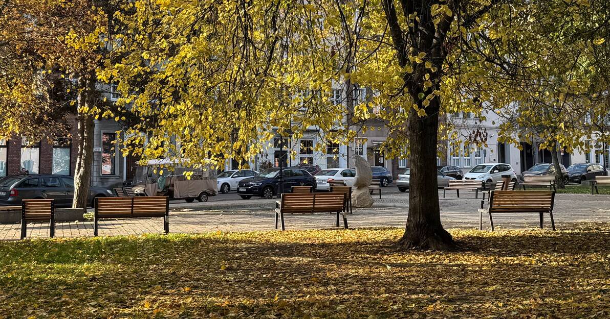 Nowe Ławki Fot GZZ