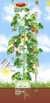 "Z naturalnymi składnikami dla najlepszego smaku" - program Knorr już na stronie