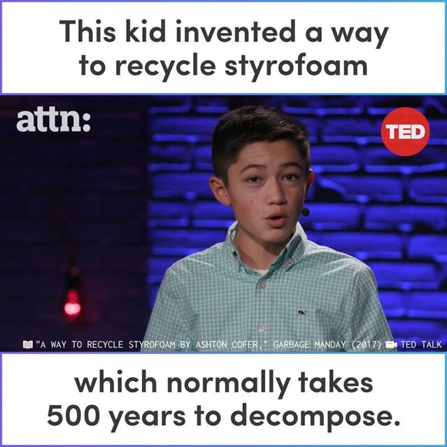 301248563293431_1714375225314084.jpg