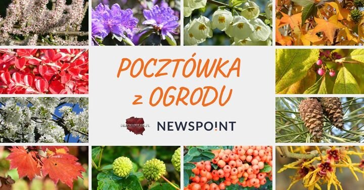#PocztówkaZOgrodu
Zaczyna się sezon ogórkowy, więc......idziemy do ogrodu! 🌿🌷🌸
Postanowiliśmy stworzyć zestawienie najpopularniejszych roślin w Waszych ogródkach. Zebraliśmy internetowe wzmianki z całego internetu, a także wszystkie...