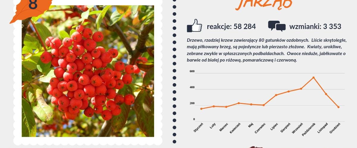 #PocztówkaZOgrodu
Kolejne miejsca w dziesiątce najpopularniejszy drzew przypadają na #jarząb i #świerk 🌲 https://t.co/IhinE9zQCT