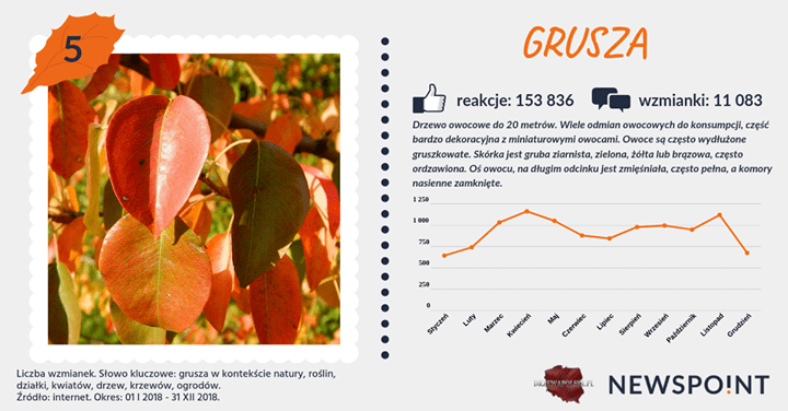 #PocztówkaZOgrodu
Piątkowy zestaw prezentuje się następująco: 6 miejsce zajmuje #kasztanowiec, a 5 #grusza 🍐