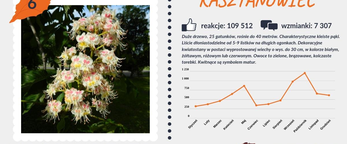 #PocztówkaZOgrodu
Piątkowy zestaw prezentuje się następująco: 6 miejsce zajmuje #kasztanowiec, a 5 #grusza 🍐 https://t.co/lZo7FcENsm