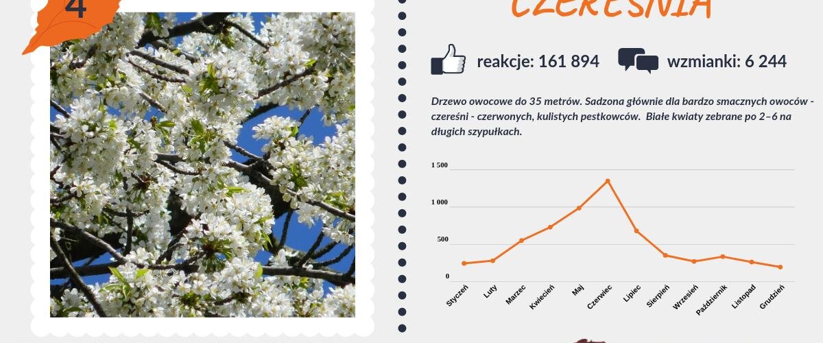 #PocztówkaZOgrodu
Zapowiada się kolejny słoneczny tydzień. Tym samym kontynuujemy nasz ranking. Dzisiaj dołącza #czereśnia, której szczyt internetowego zainteresowania wypada właśnie na czerwiec.