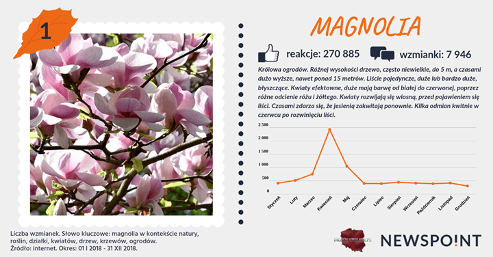 #PocztówkaZOgrodu
Czas na najwyższe lokaty!
#Sosna zdobywa drugie miejsce🥈
Zwycięzcą rankingu najpopularniejszych drzew zostaje 
#magnolia🥇
Gratulacje dla istnej królowej (nie tylko) wiosny!